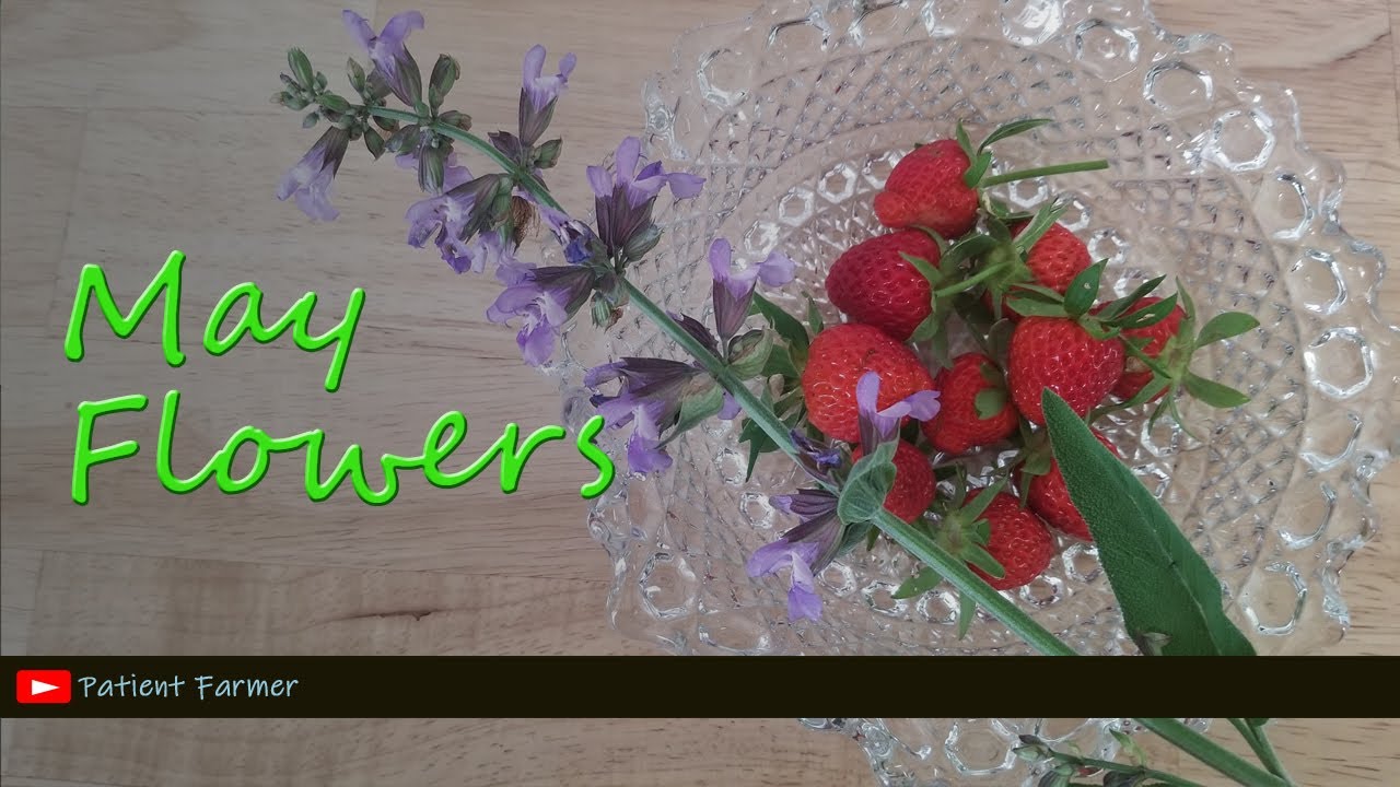 May Garden Tour