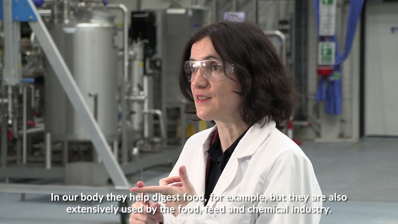 ENZYMARES - Enzyme Prediction Toolbox