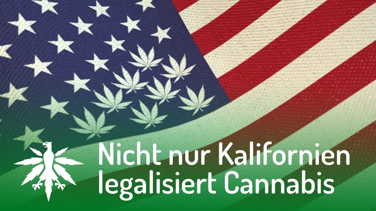 USA: Nicht nur Kalifornien legalisiert Cannabis | DHV News #100