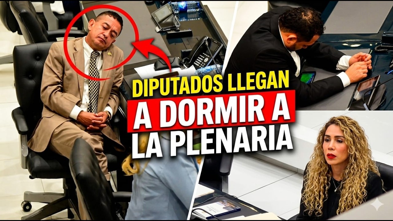 DIPUTADOS DURMIENDO Y VIENDO PARTIDOS EN PLENARIA+TIKTOKERS SE VENDEN POR DINERO