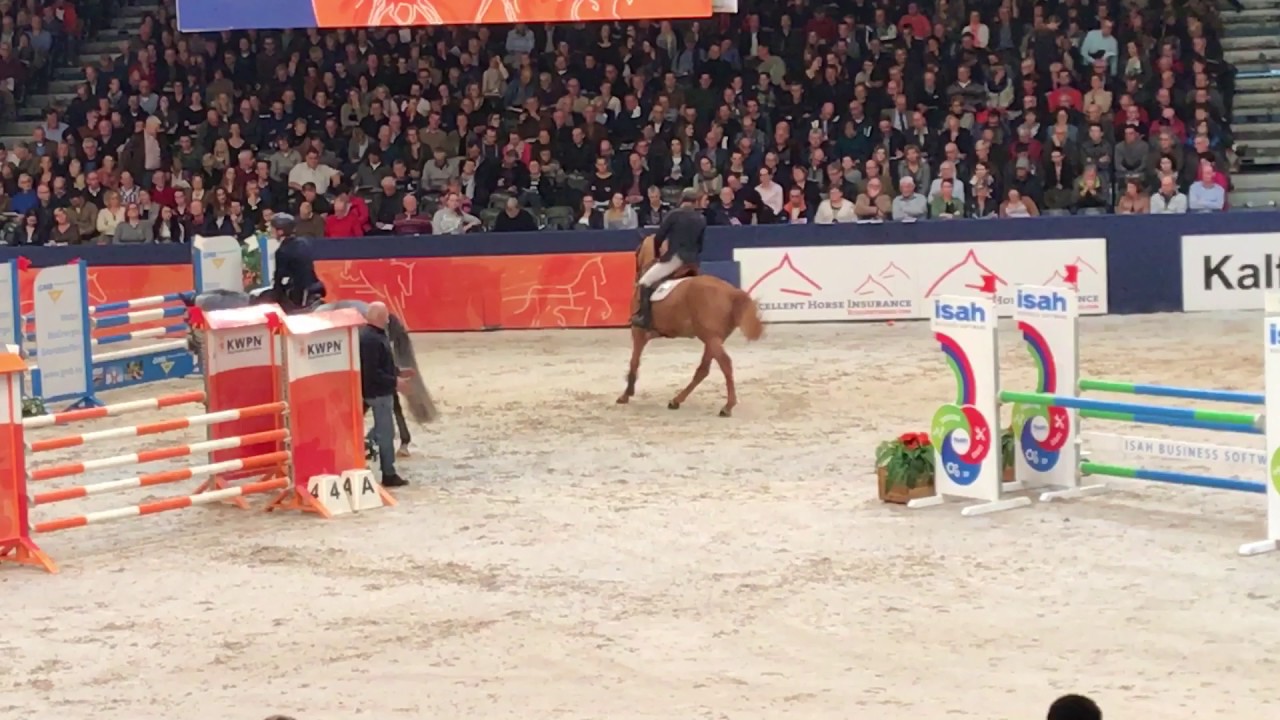 Hampshire VDL (Arezzo VDL x Indoctro)