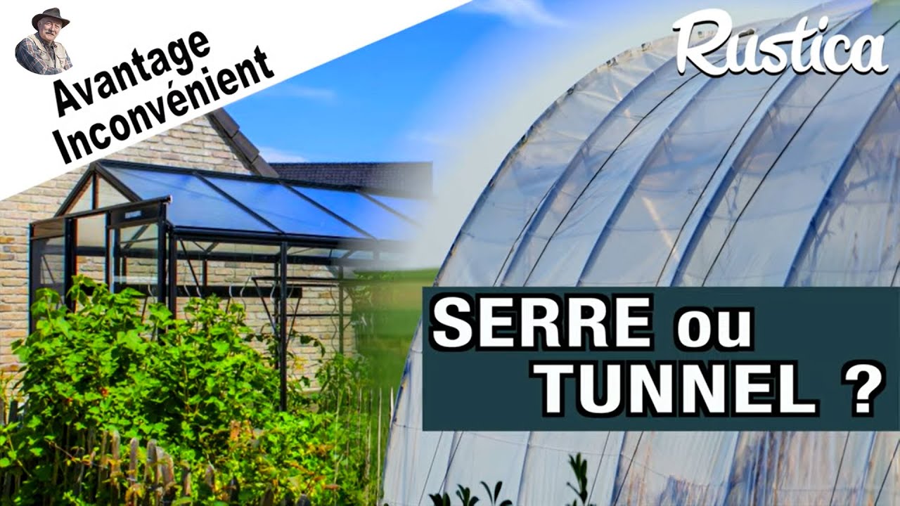 Serre ou tunnel ? Comment faire le bon choix