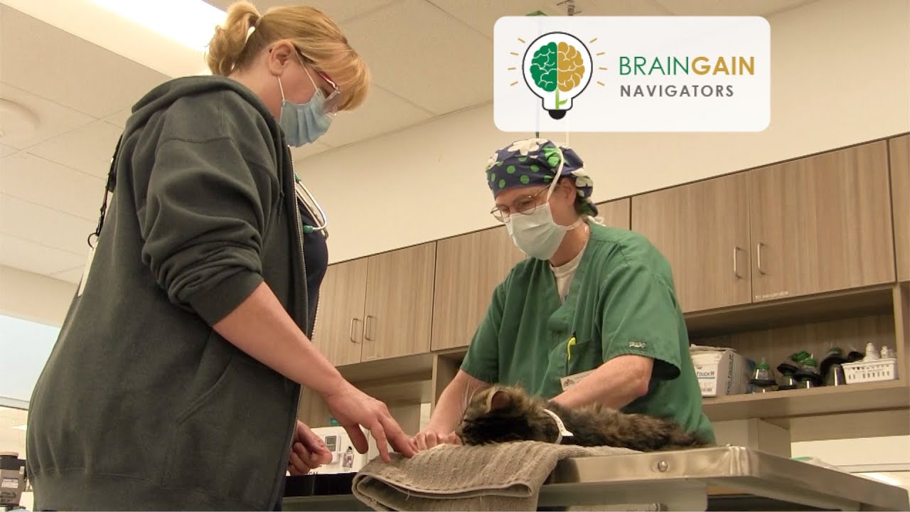 Angels for Animals | Navigators Webinar