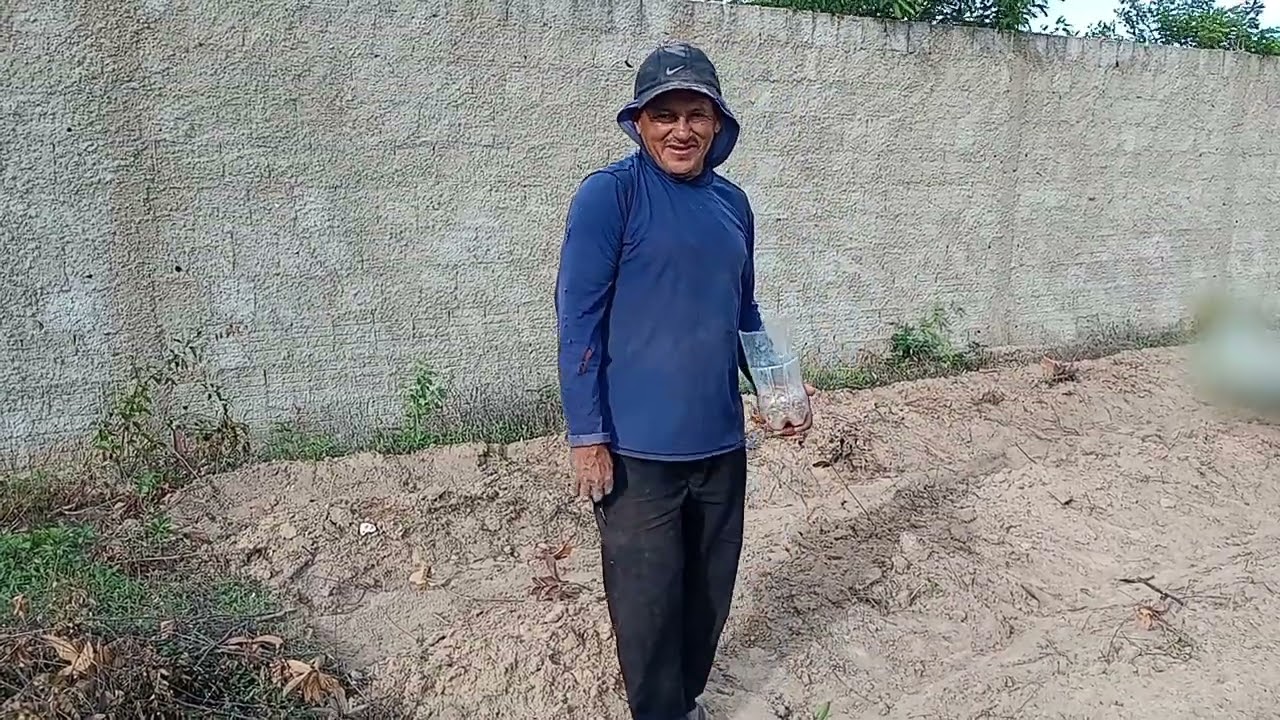 Fazendo a plantação de feijão 