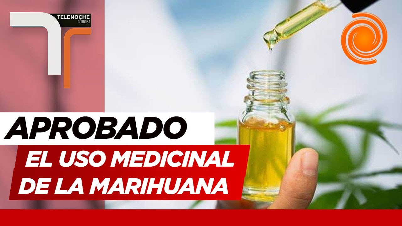Cannabis medicinal: C&oacute;rdoba adhiri&oacute; a la ley nacional para el uso de la marihuana