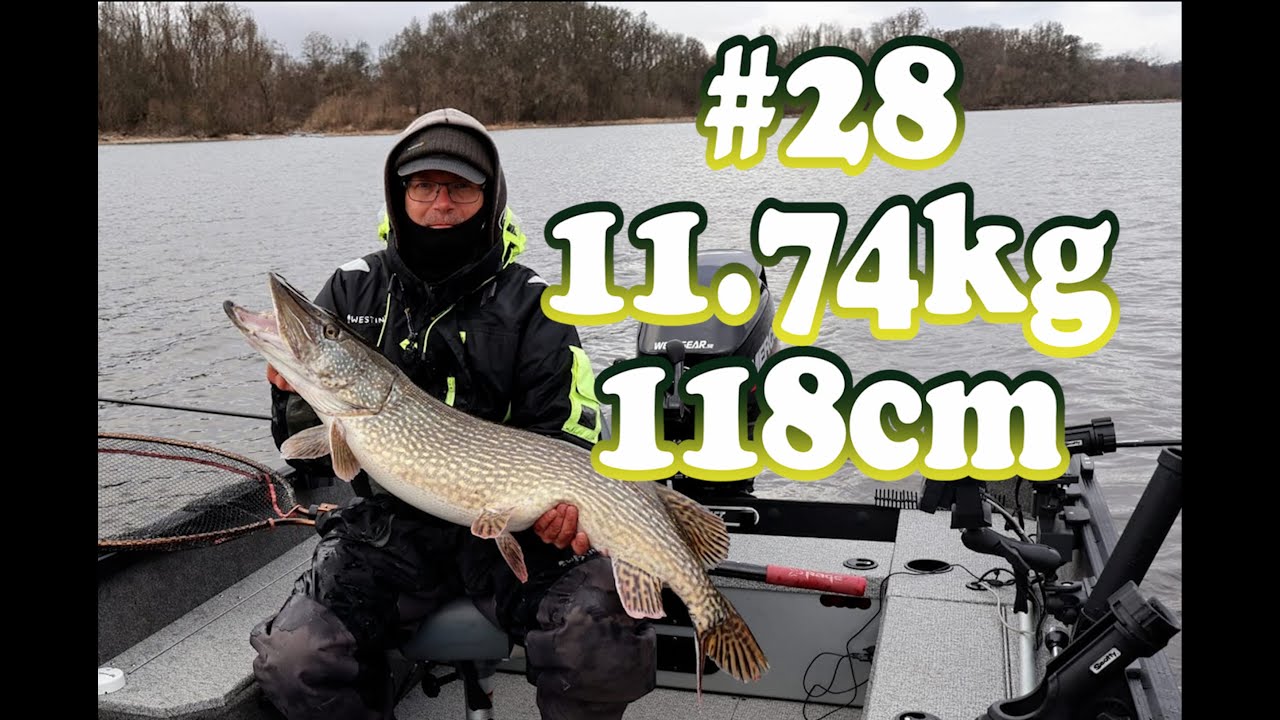 Gädda 10kg+ del 28, 11.74kg