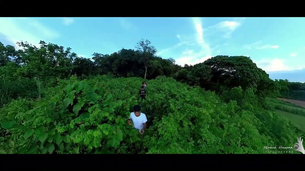 Beauty of forest|Dji mavic air 2|Insta 360 one x2