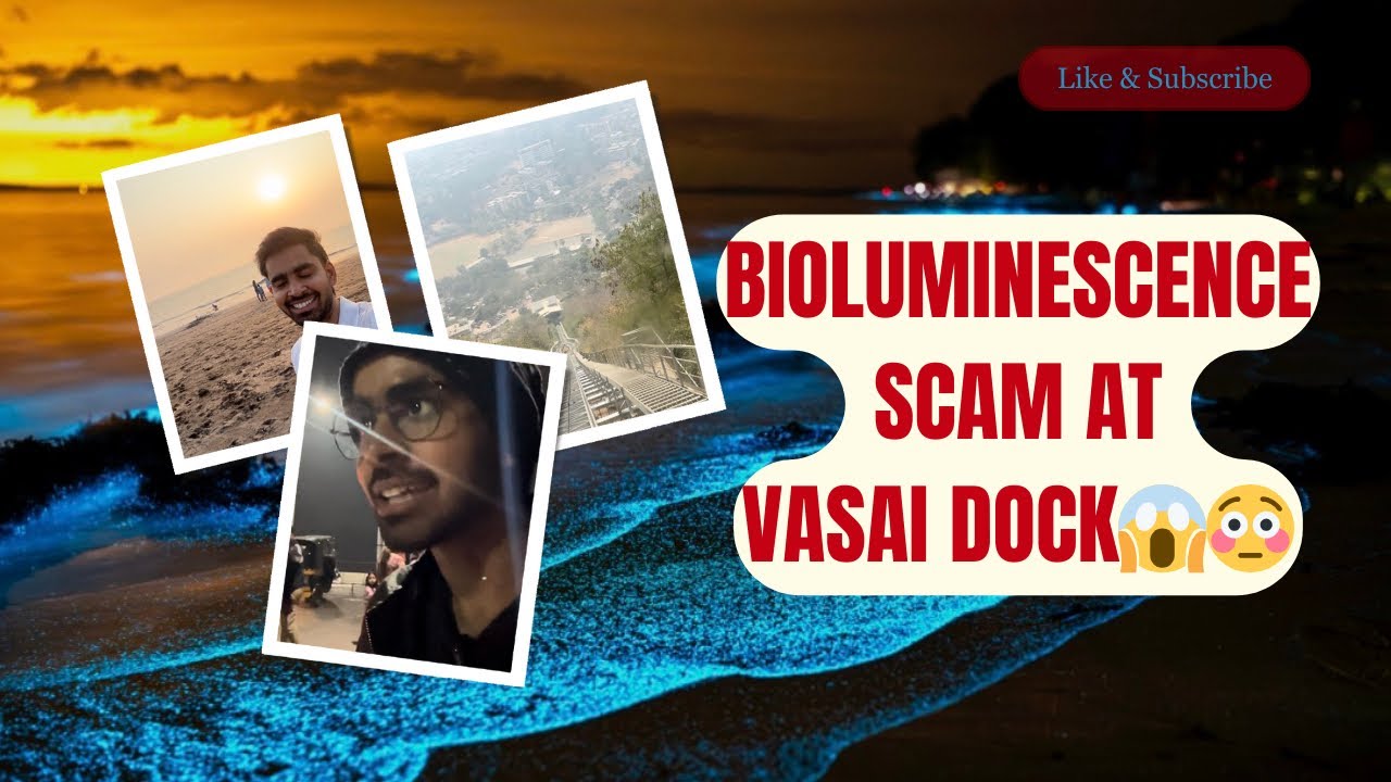 We Went for Bioluminescence in Vasai but Police Came 🚨 | Full Day Vlog