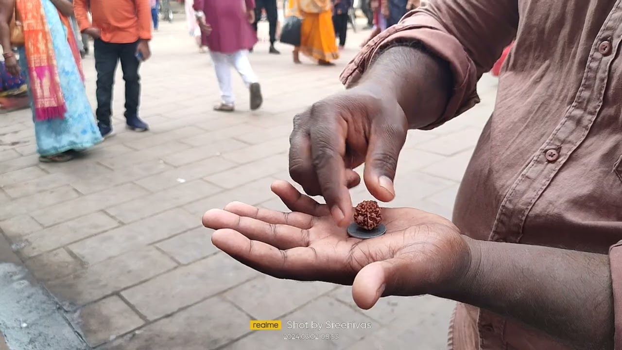 Rudraksha (రుద్రాక్ష) how to identify original rudraksha