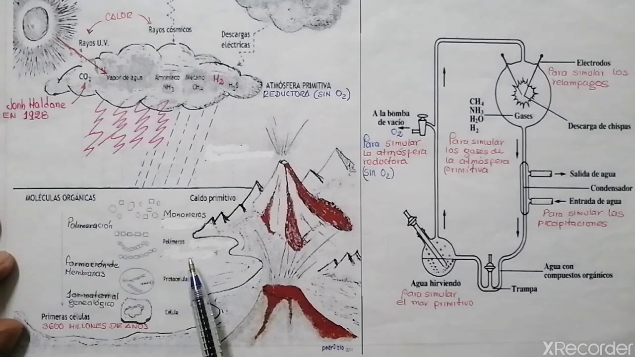 Teoría quimiosintetica