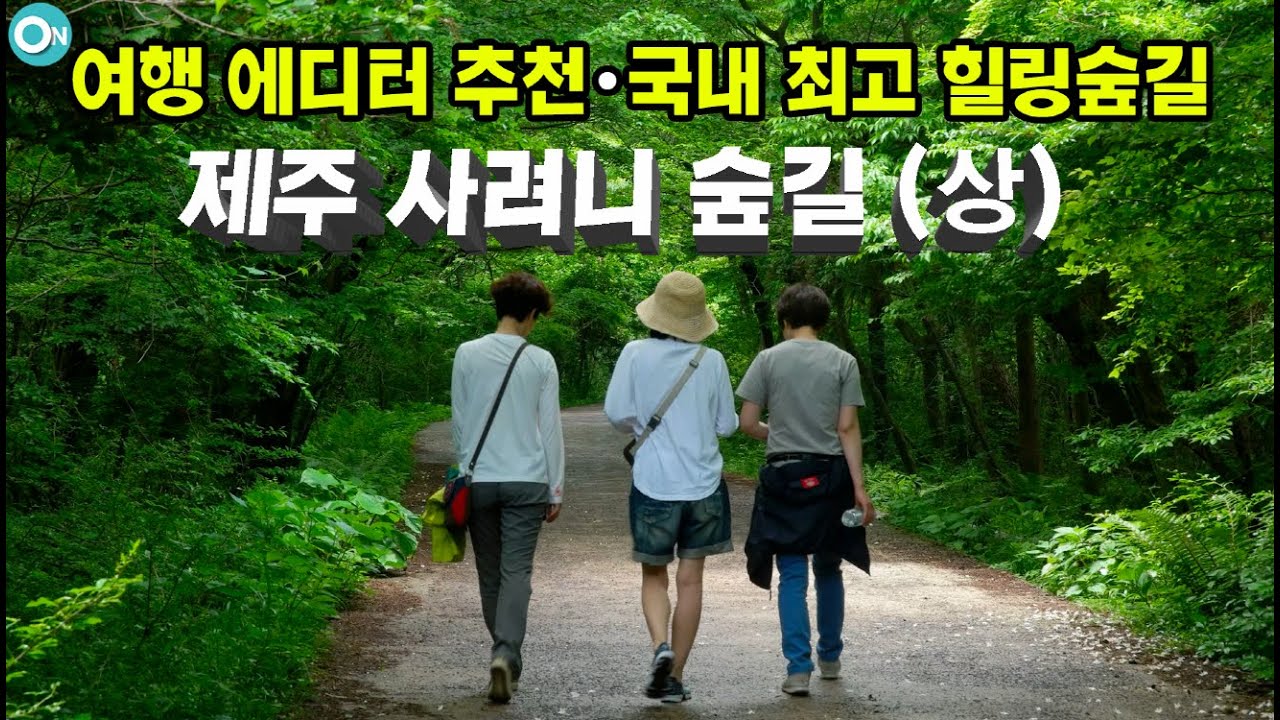 [제주도 여행] 사려니숲 길은 국내 최고 인생 숲길이자 꼭 한번 걸어야 할 힐링로드입니다(사려니 숲길 上편) ASMR  Korea jeju tour