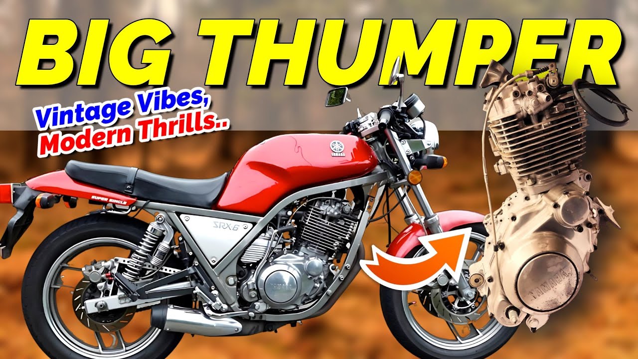 When the 600cc Japanese Thumper Ventures into the American Market