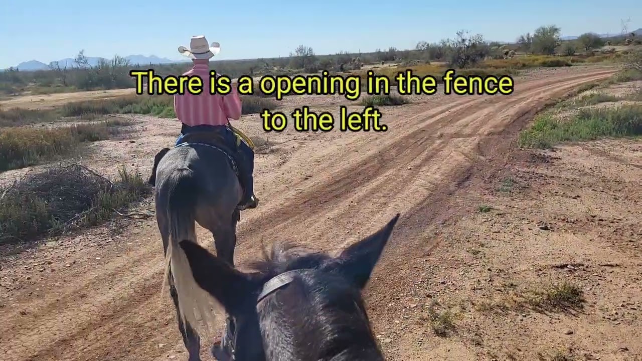 Riding the 