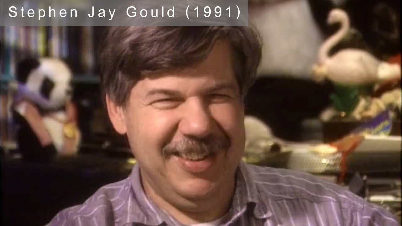 Stephen Jay Gould 1991 Interview