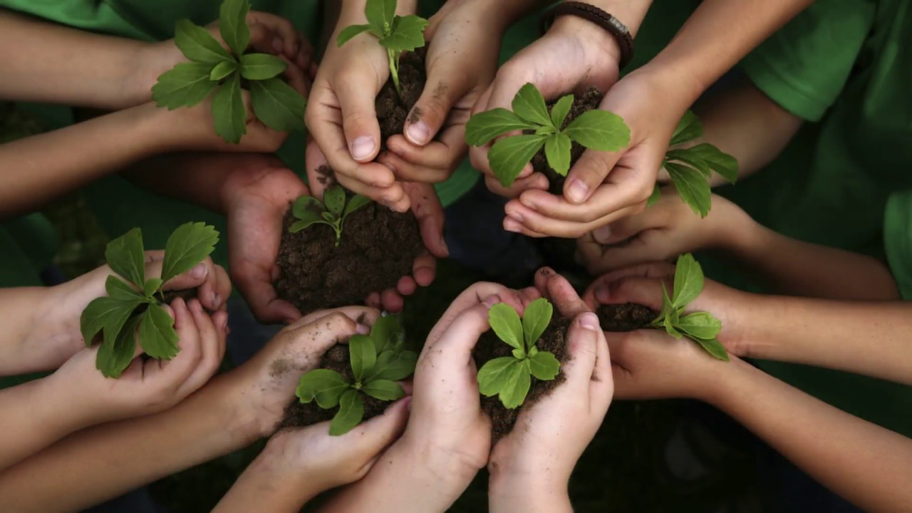 What is ECO Schools?