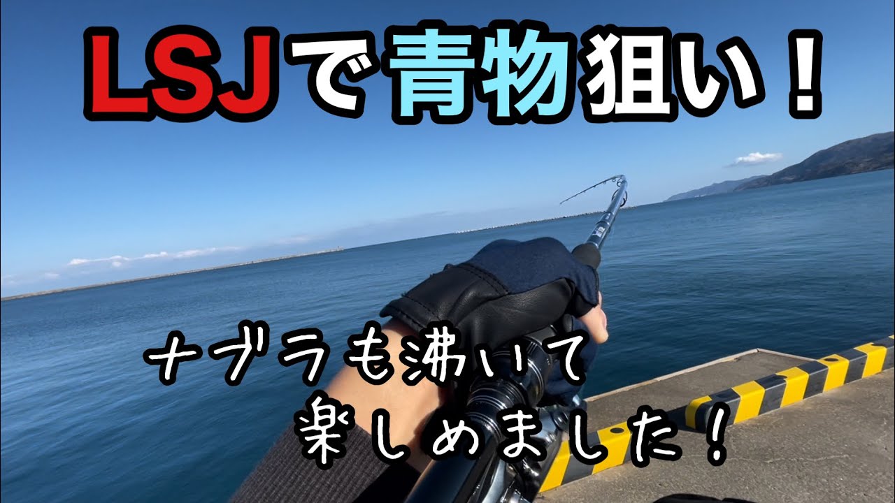 久しぶりのライトショアジギング！最高の釣り日和でした。