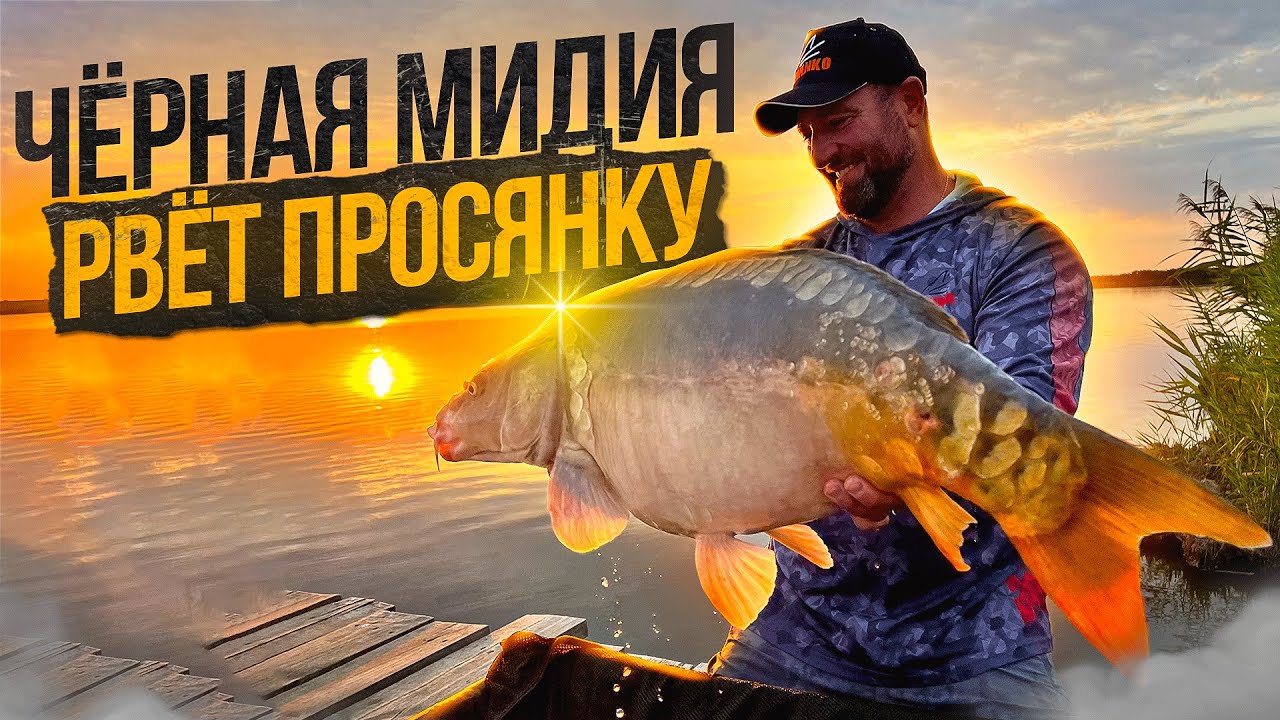 Огромные Карпы водоема 