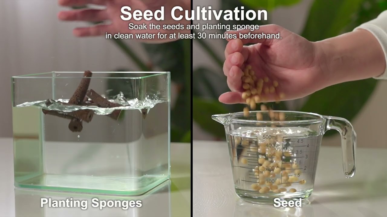 Aeroponics machine video