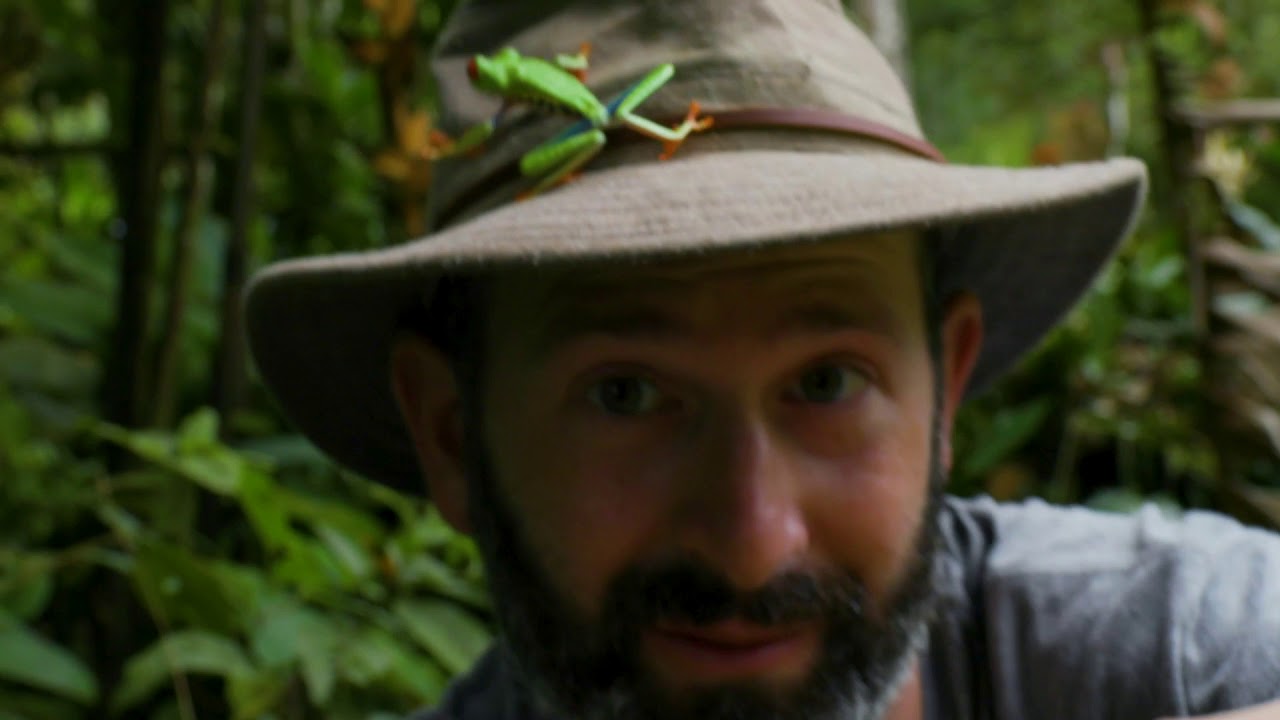 Case Study: Brave Wilderness (Canon XF705 Camcorder)
