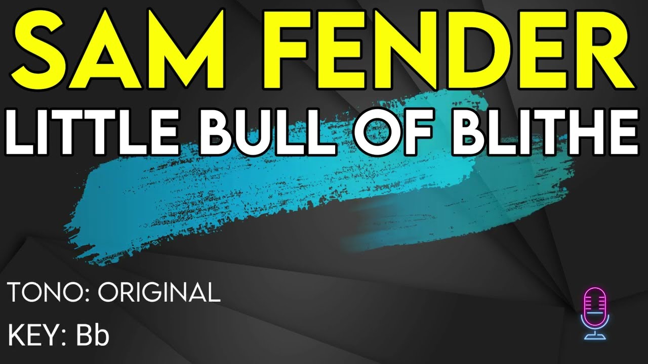 Sam Fender - Little Bull Of Blithe - Karaoke Instrumental