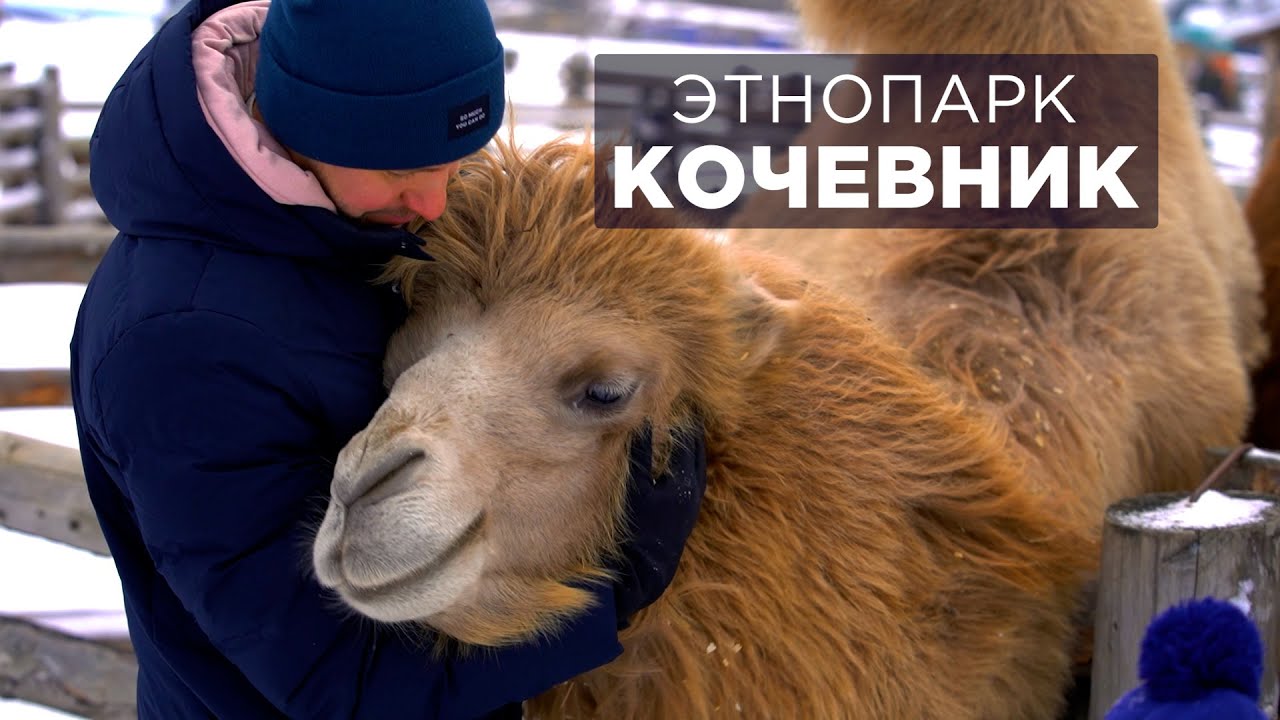 Этнопарк Кочевник