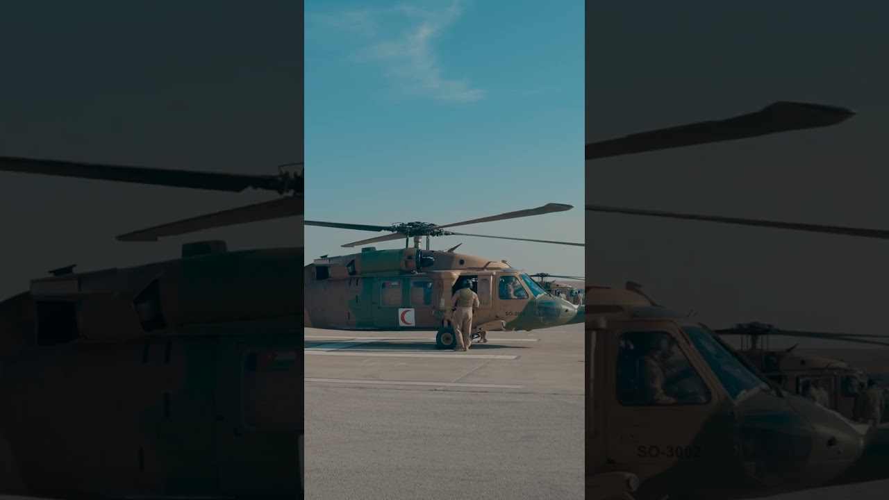 Gaza Emergency Aid Delivery