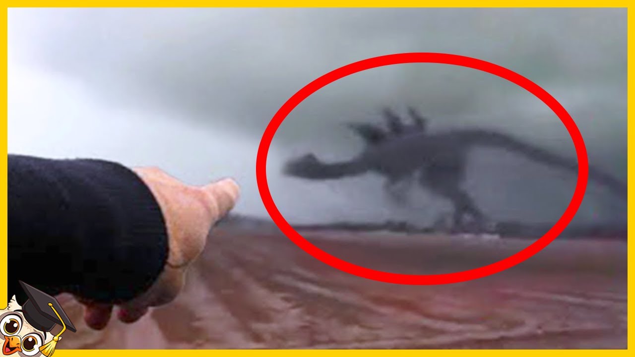 10 Godzilla uchwycona kamerą w prawdziwym życiu