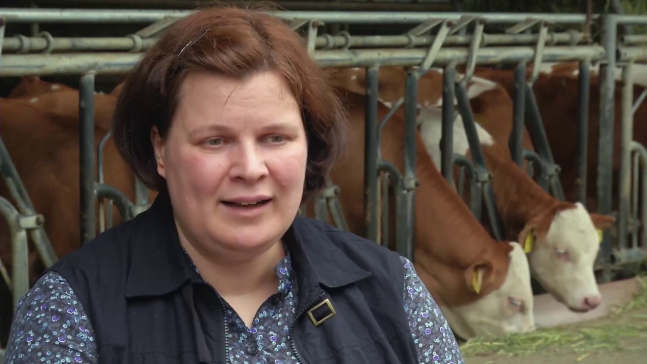 Effizient melken   Mit einem optimierten Melkprozess zu gesunden K&uuml;hen