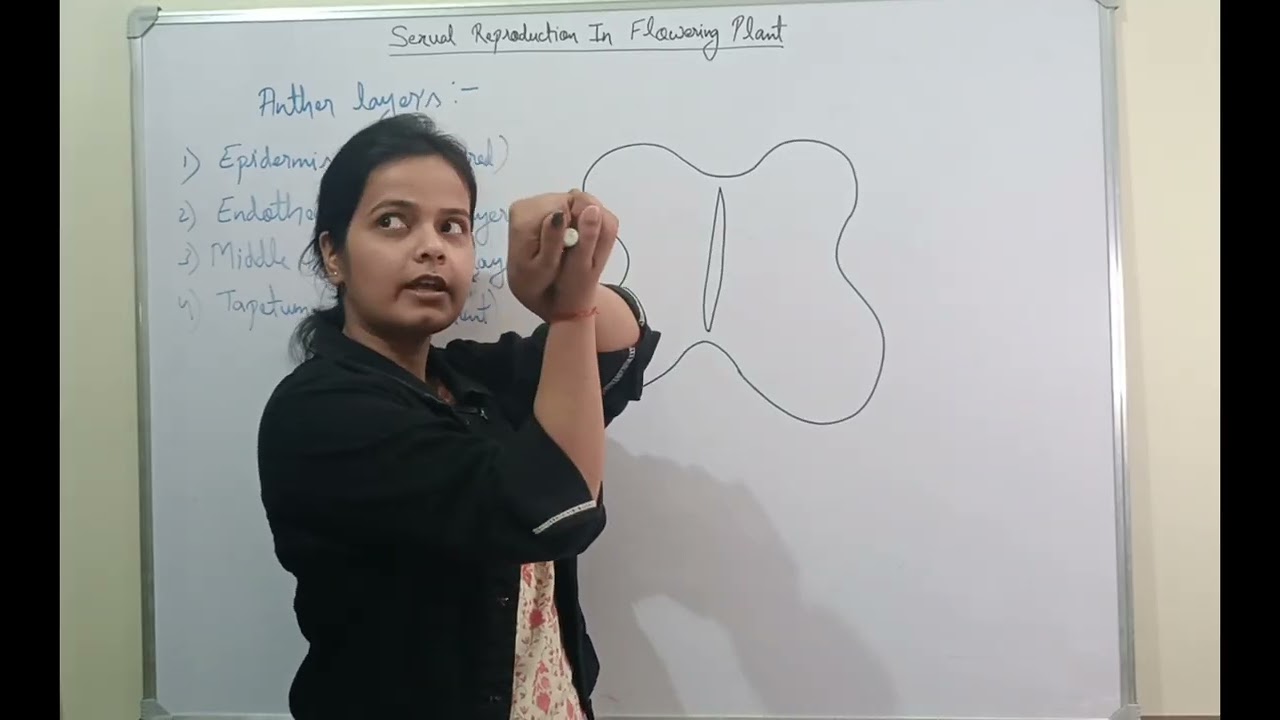 Sexual Reproduction in Flowering Plants (Microsporogenesis)