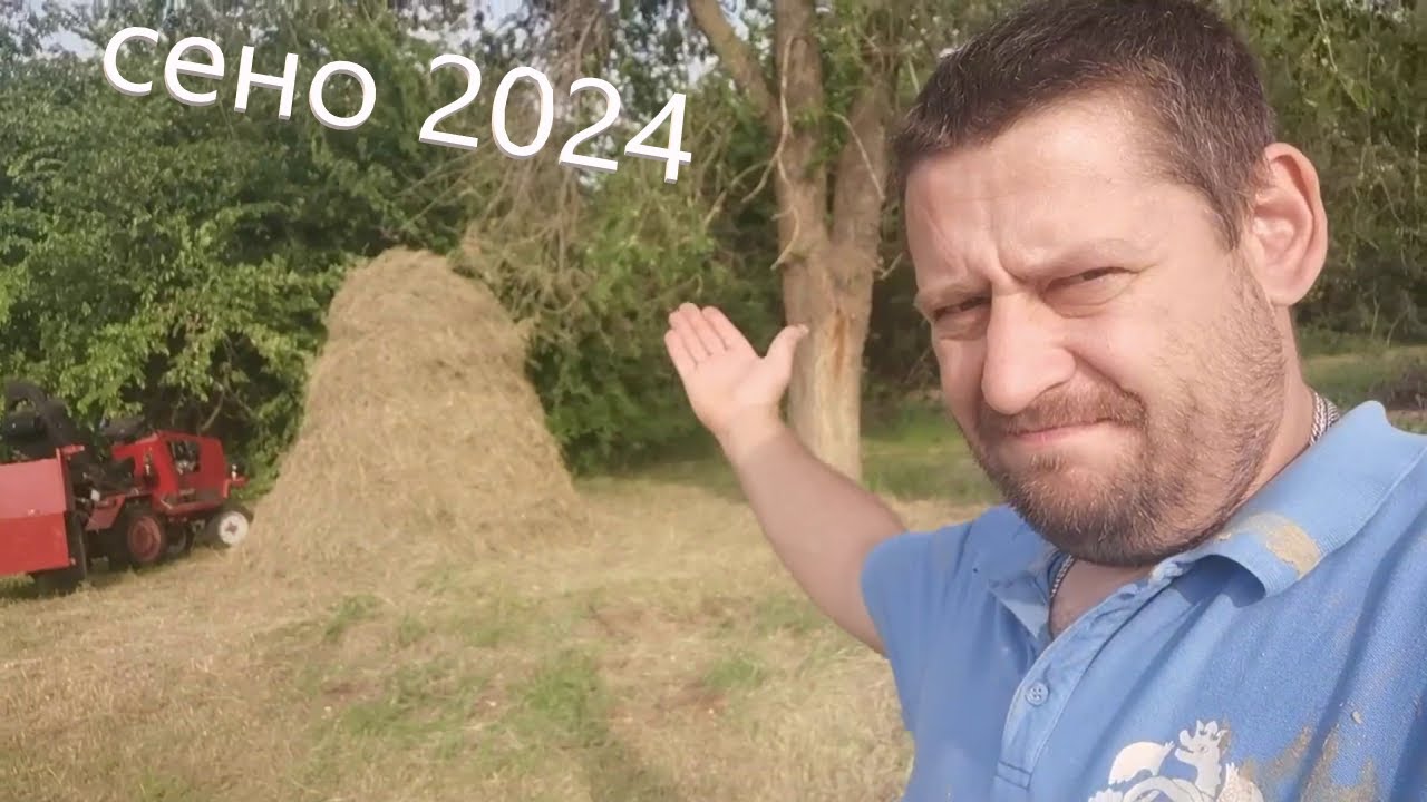 Сено 2024. Итоги первого покоса травы.