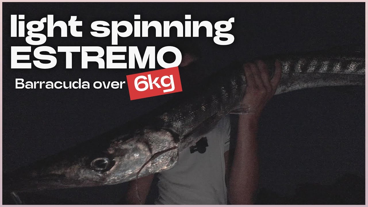 Light Spinning Estremo: Barracuda Over 6kg!