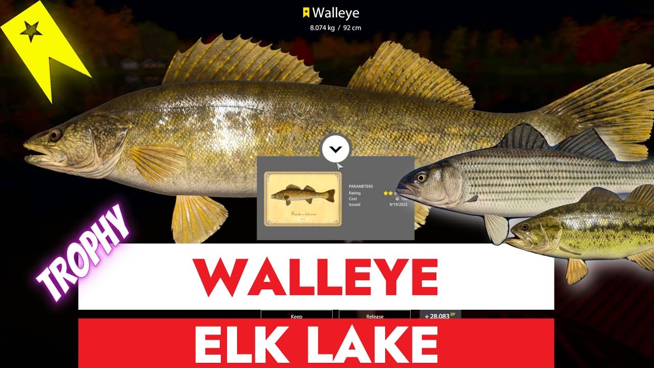 RUSSIAN FISHING 4 - RF4 - TROPHY WALLEYE - ELK LAKE