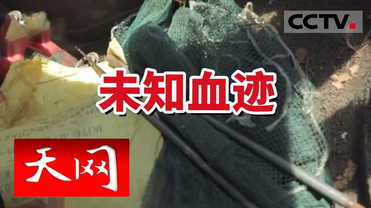 《天网》扎枪上的血迹 座位上的毛发 让民警对这辆越野车起了疑心 20240118 | CCTV社会与法