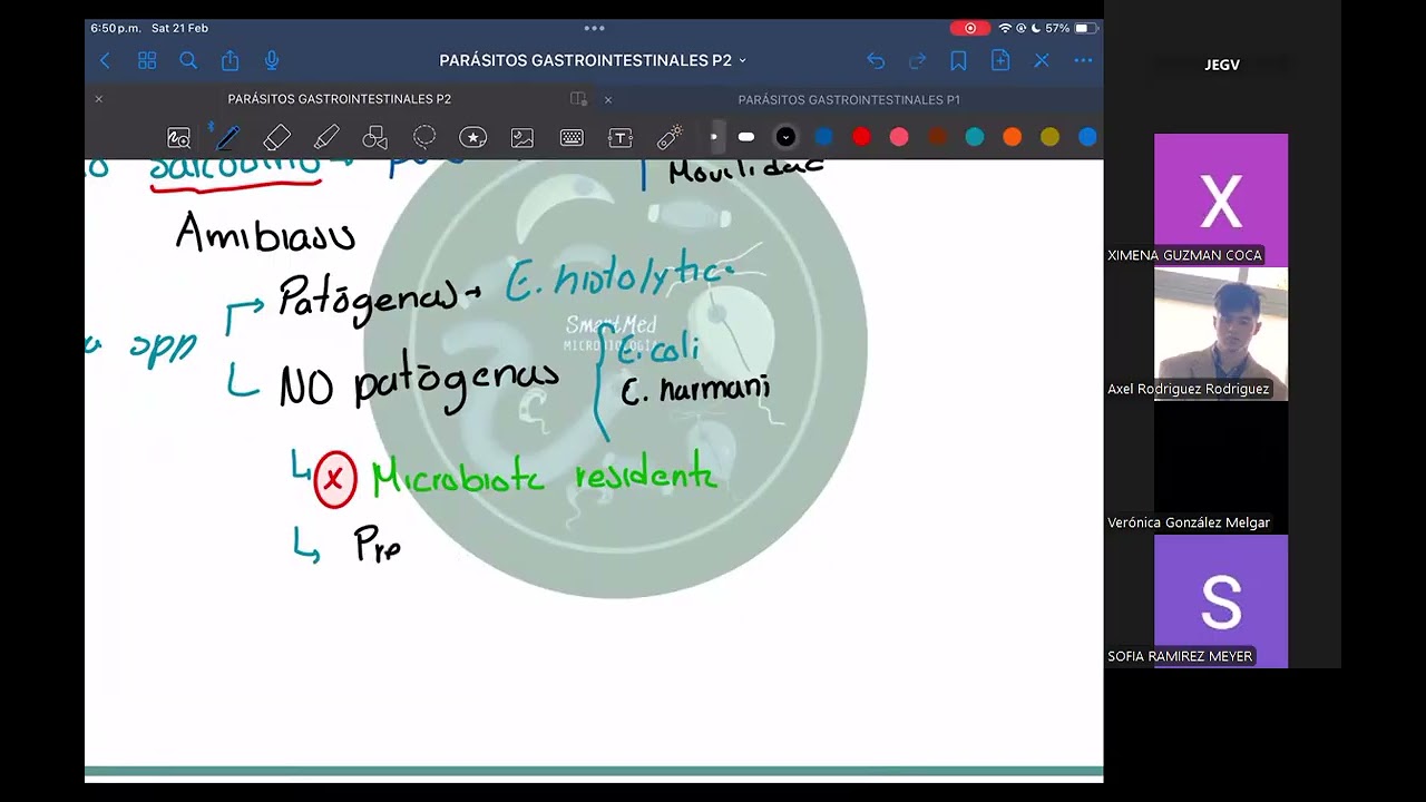 SMARTMED: Parasitología (Entamoeba histolytica y Blastocystis hominis)