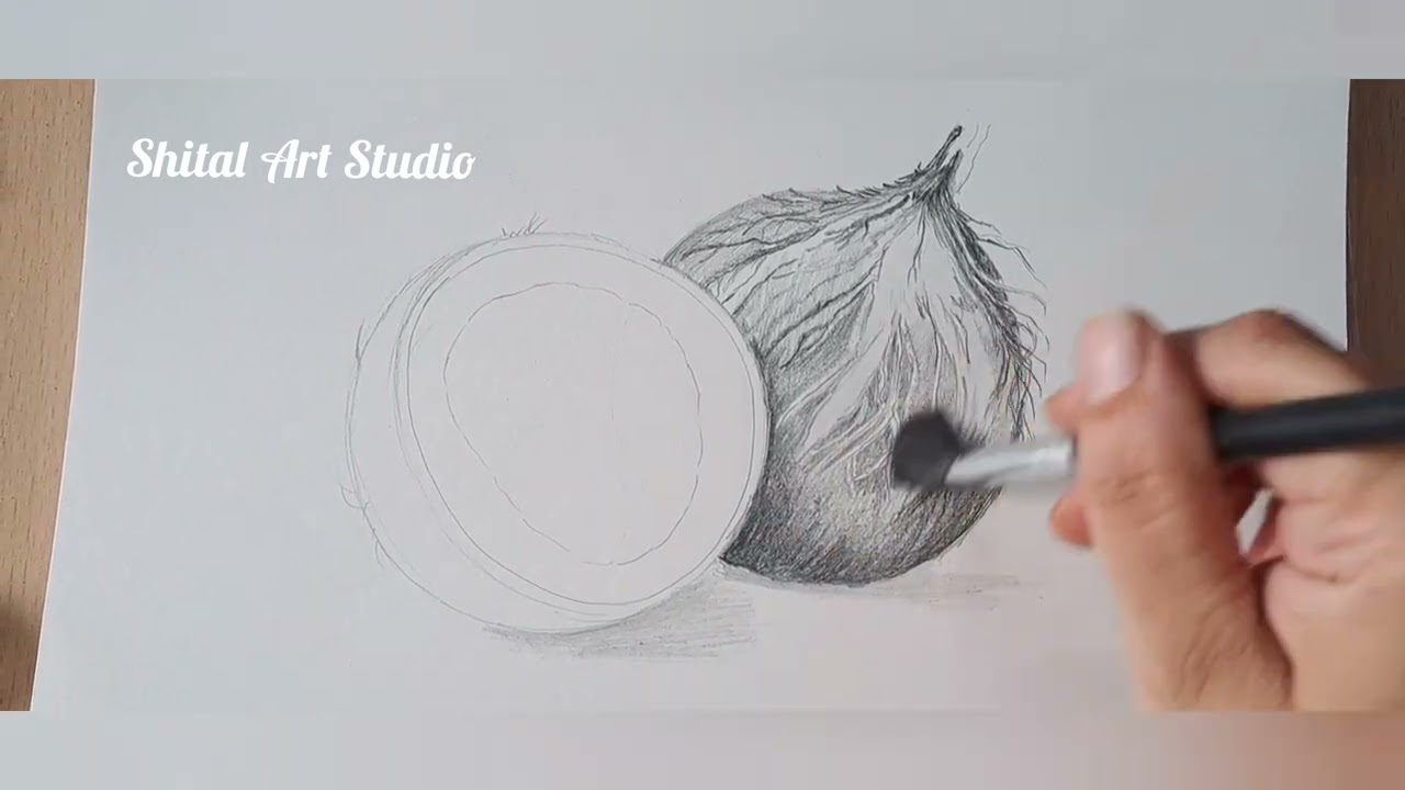 Coconut fruit drawing tutorial 