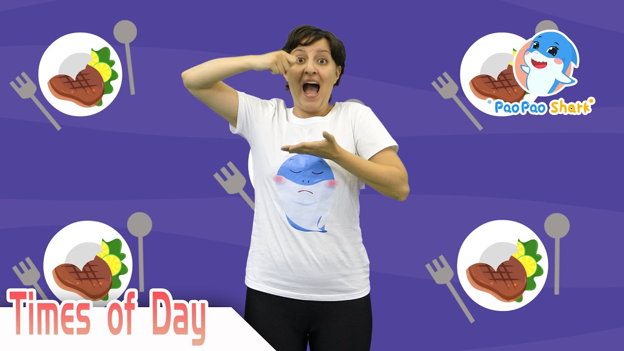 Times of Day Song | Paopao Shark Super Fun English Learning Videos x MiDeer Toys
