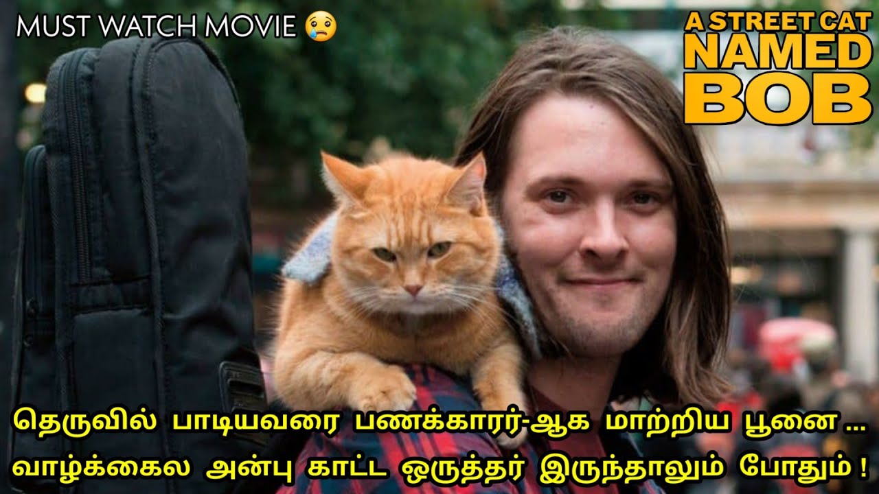 தெருவில் பாடியவரை பணக்காரர்-ஆக மாற்றிய பூனை | A Street Cat Named Bob | தமிழ் விளக்கம்