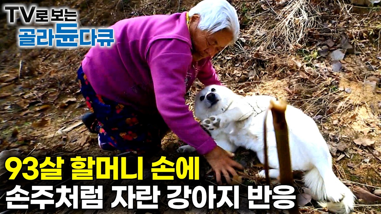 93살 할머니 품에서 손주처럼 자란 강아지의 마음｜93살 노모와 66살 딸, 그리고 강아지 '백설이'의 아름다운 산골일기｜한국기행｜#골라듄다큐