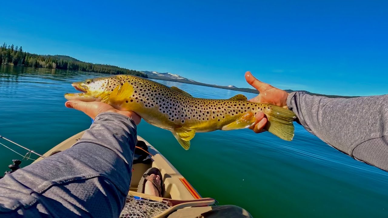 New PB BROWN TROUT!! (Central Oregon)