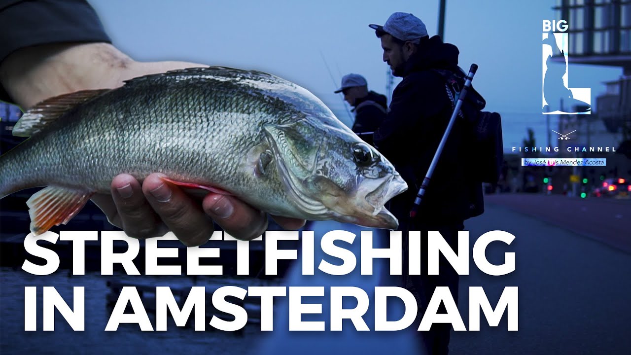 Micro Köder angeln in Amsterdam // Street Fishing auf Zander & Barsch // Speed Jig
