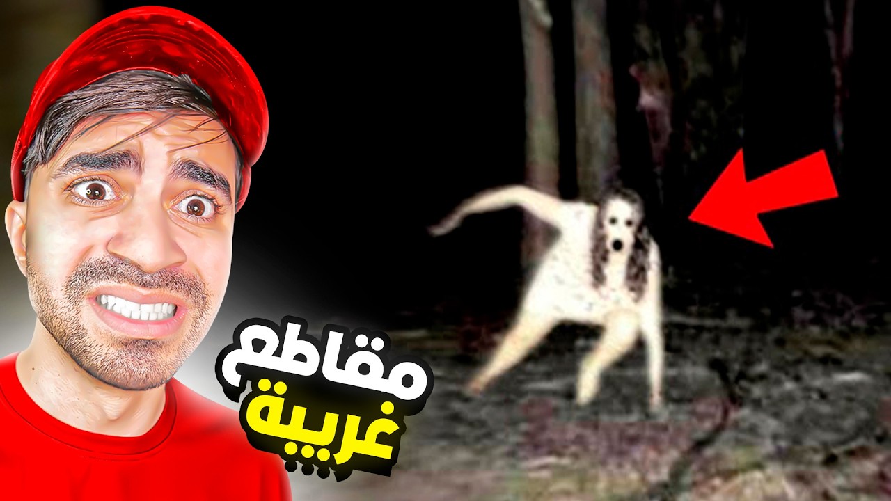 شفت اغرب 10 مقاطع في اليوتيوب !!!