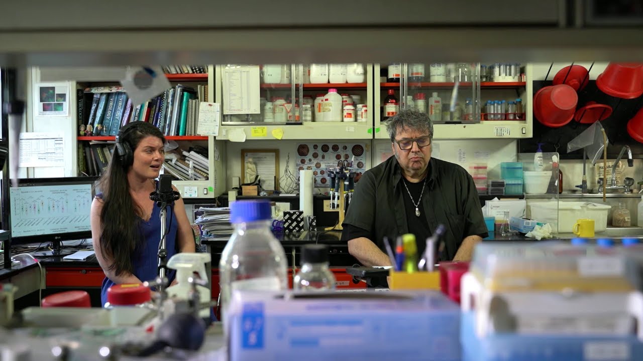 Inés Cuello, Clara Cantore, Lito Vitale │Lucía
