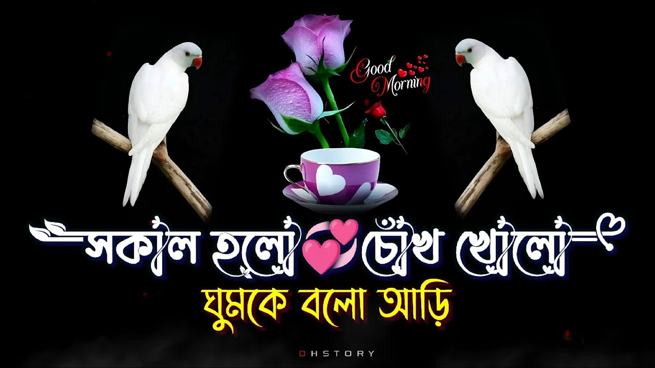 good morning shayari | bangla shayari 2024 | good morning status | wishes