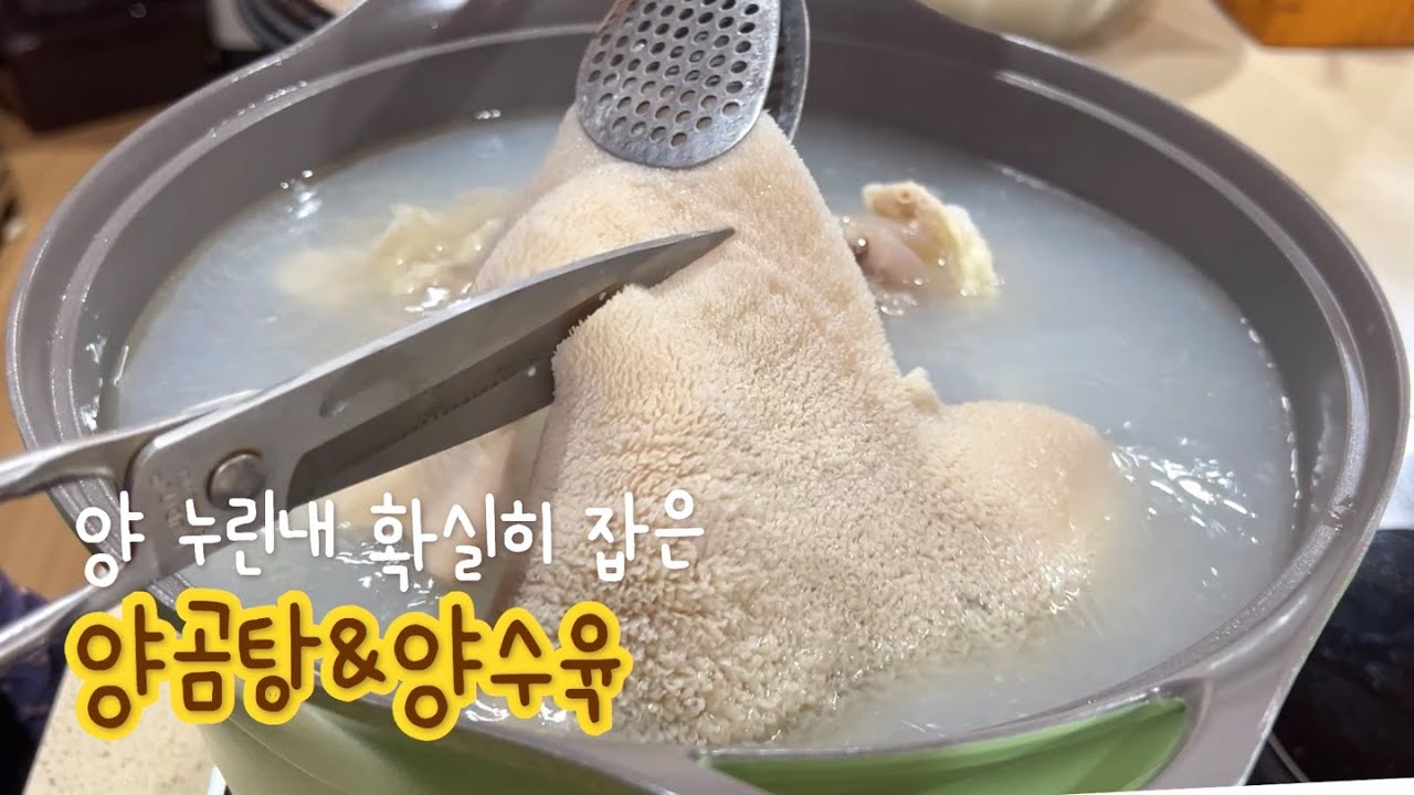 위를 편안하게 하는 강력한 보양식 양곰탕 & 양수육 :: 소 양 손질법