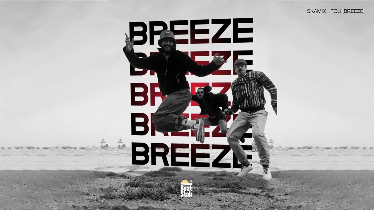 SKAMIX - FOU [BREEZE]