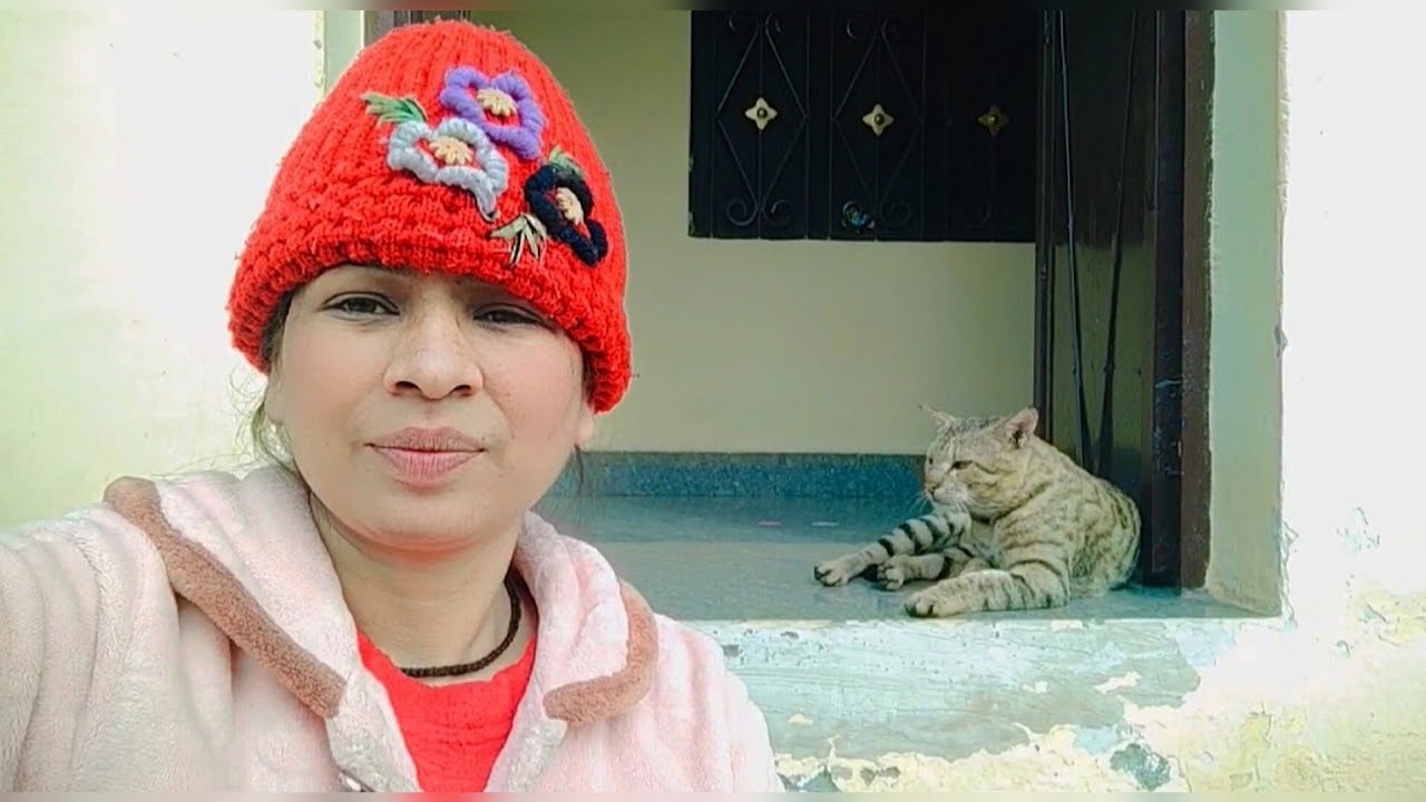 गायब हो जाते है 🙀🙀||@sarabisht3452
