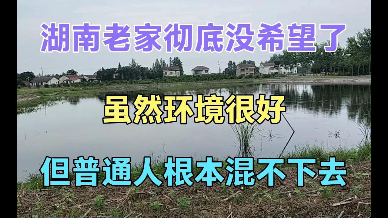 湖南老家彻底没希望了，虽然环境很好，但普通人根本混不下去