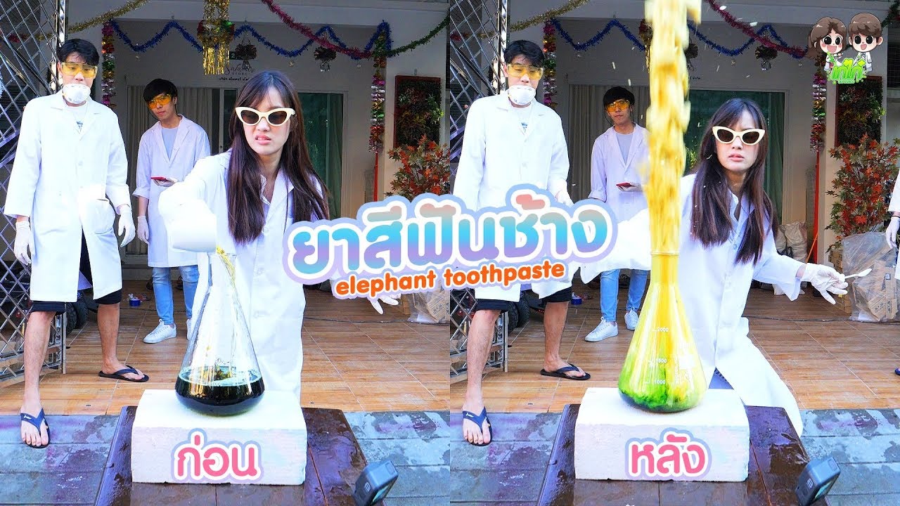 ทดลองทำยาสีฟันให้ช้างใช้!? (เก๋ไก๋วัยทดลอง)