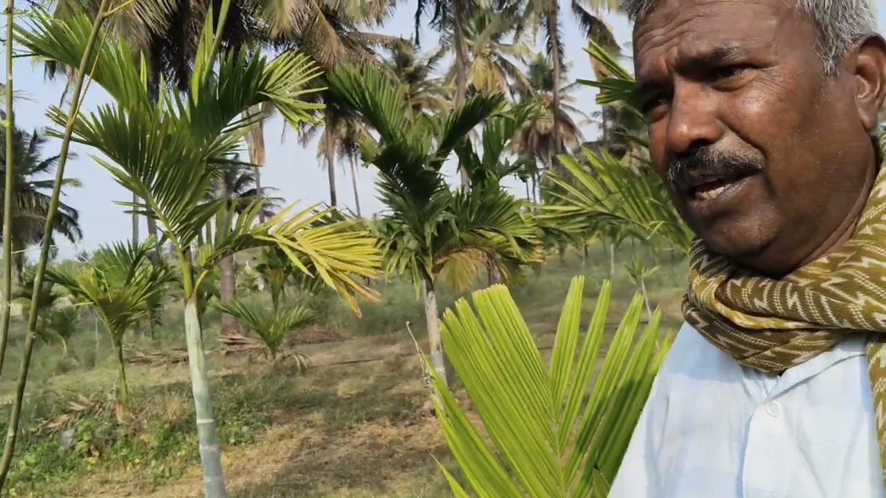 ಸಂಕಷ್ಟ ಕಾಲವನ್ನು ಎದುರಿಸಿ ಬದುಕಿದ ಸಾವಯವ ತೋಟ, ಭಾಗ-1