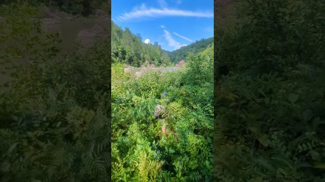 Hiking off trail in Big South Fork NRRA! #hiking #nationalpark